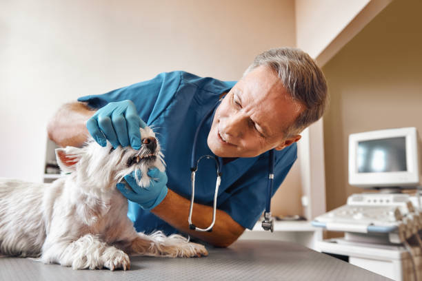 Best Emergency Tooth Extraction in Coleman, TX